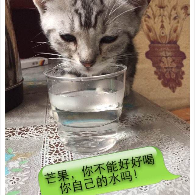 不动产证单独所有